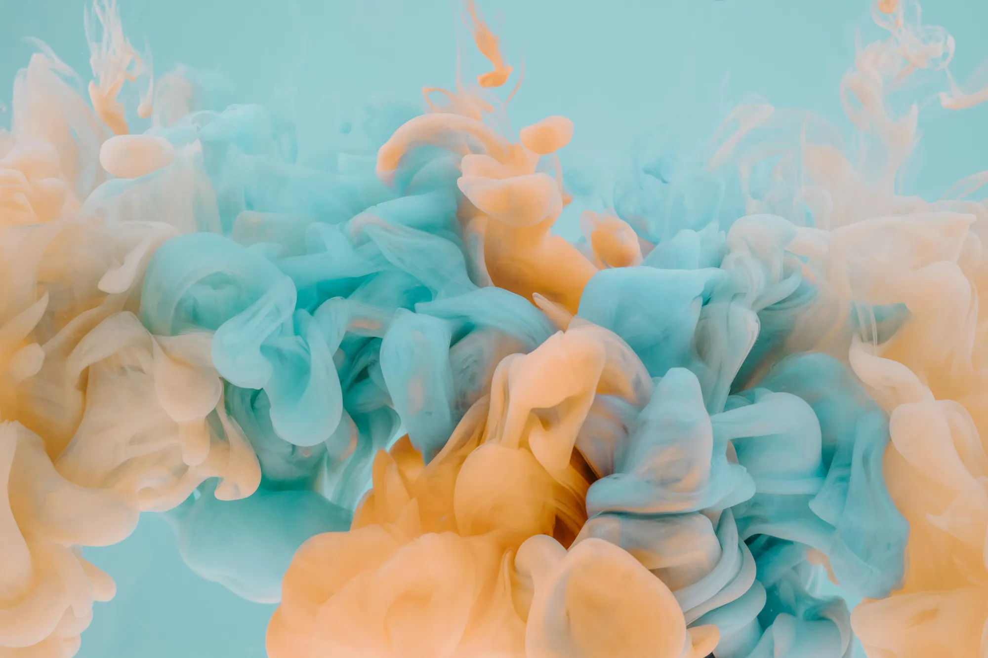 Red Flags in UK Startup Filings: A Risk Guide